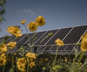 Renewables Are Fast Replacing Coal, Except in Rural America